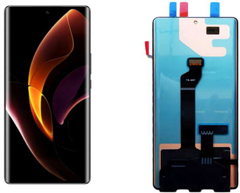 BCD667FB13（紫蓬山)