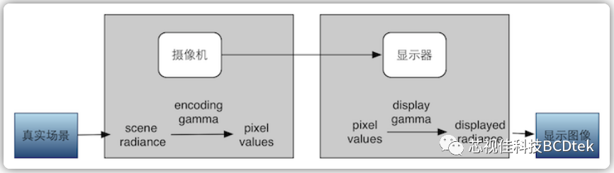 微顯示科普-Gamma