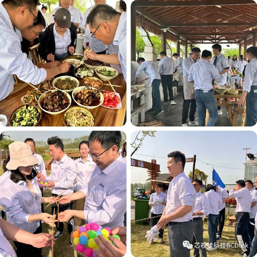 “同芯同行，攜手共進”芯視佳春季團建活動