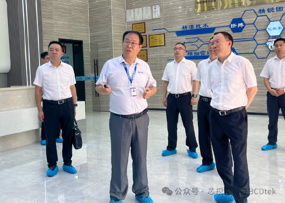 四川省政府副省長、德陽市委書記李文清一行蒞臨安徽芯視佳考察指導工作