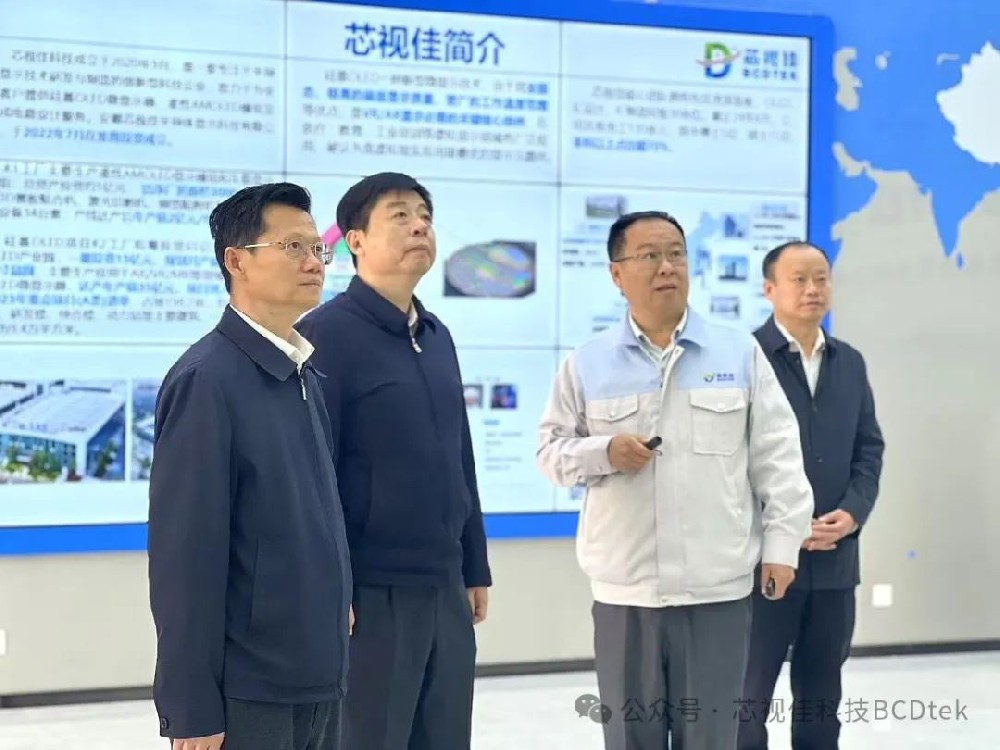 省社會工作部部長陳韶光調研芯視佳科技非公黨建工作